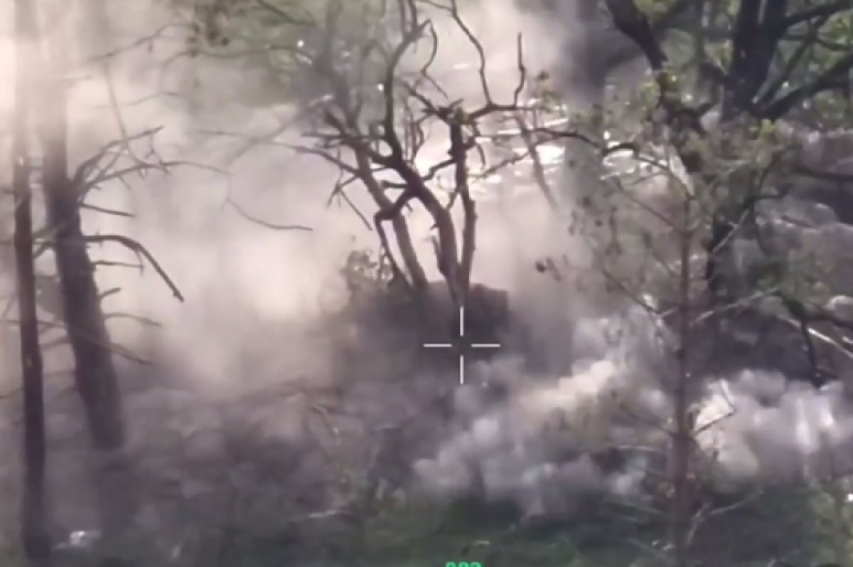    Потери ВСУ на минных полях.