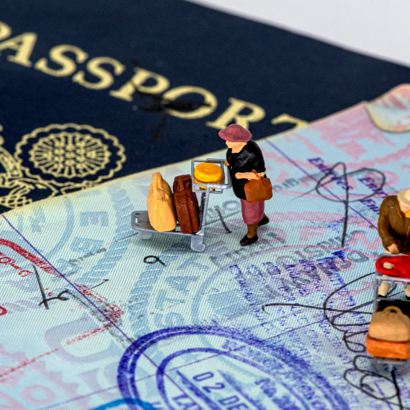 Виза для семьи