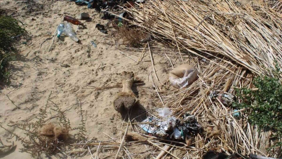    Фото: Polisia.kz Август Макаров