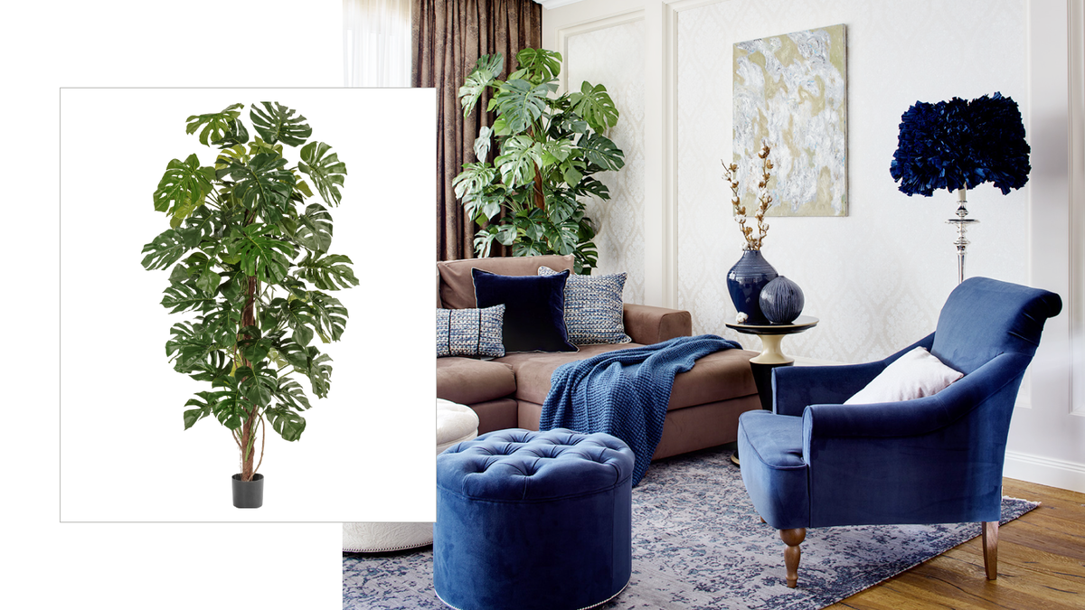 Монстера Treez Collection