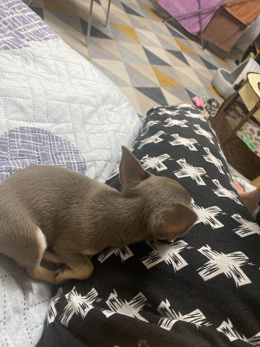 Это я извиняюсь перед папой 🥺