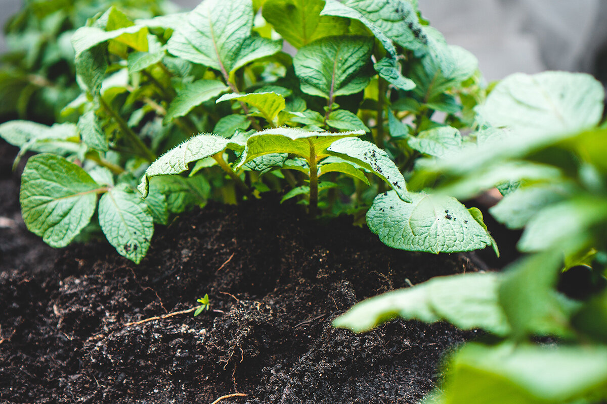    Фото: Jonathan Kemper / unsplash