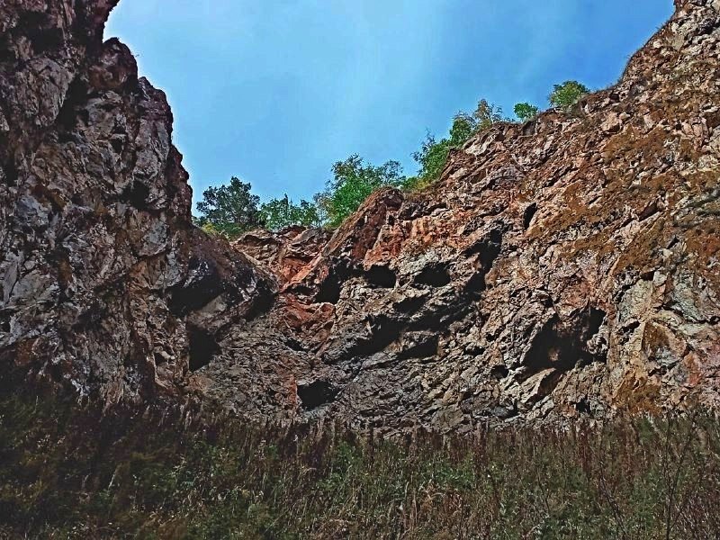 Отчетливое изображение кошачьей морды хорошо видно издалека