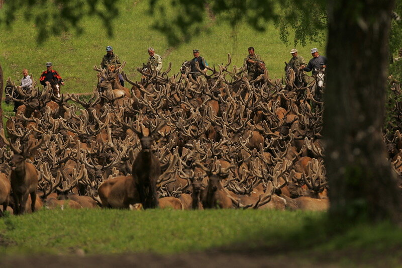 Автор фото Добрый Человек©