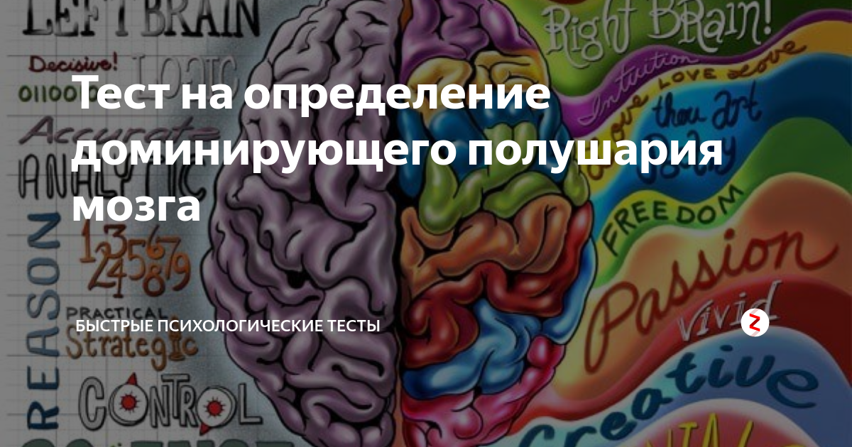 Тест на доминирование полушарий мозга. Левое полушарие мозга. Восприятие цвета левая и правое полушарие мозга. Психологический тест на полушария мозга. Правое полушарие доминирует