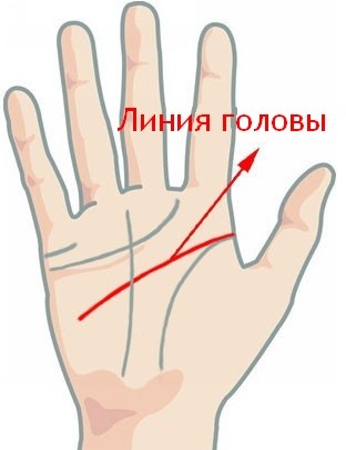 Линия головы на ладони