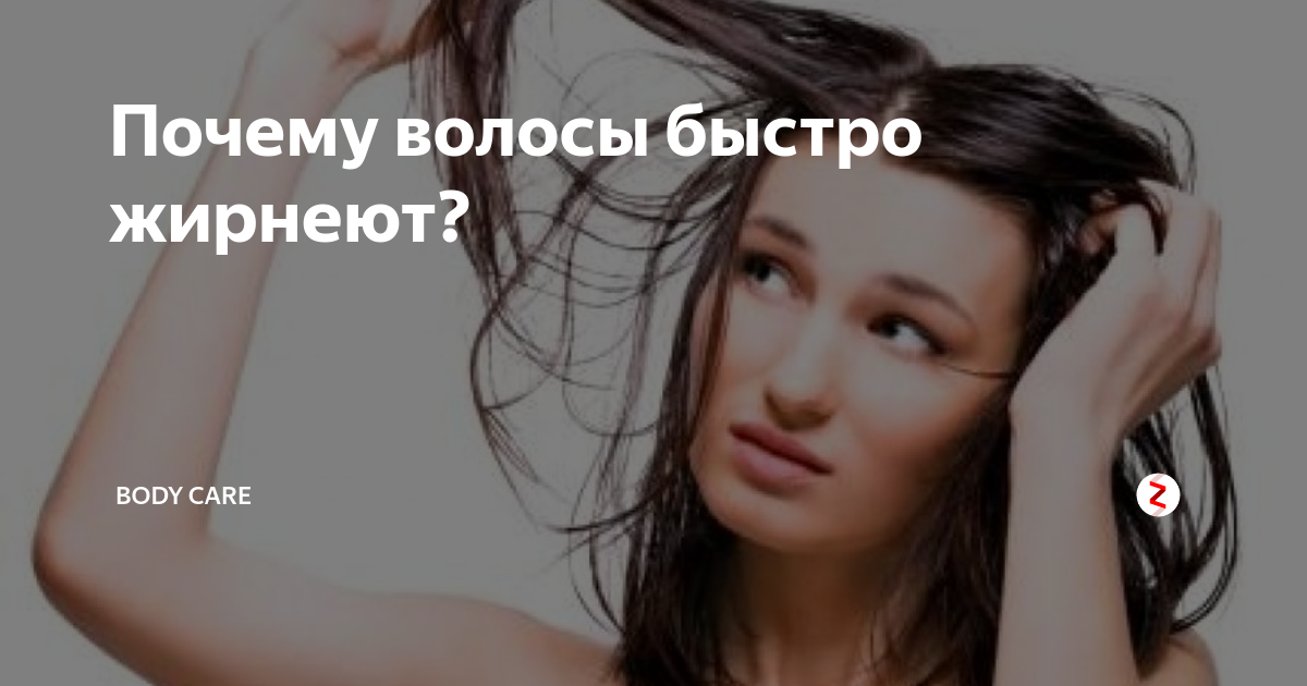 Почему волосы быстро жирнеют? | Fashion,BEAUTY & health | Дзен