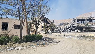 © Фото : Yazan KalashЭксперт допустил возможность новых ударов по Сирии