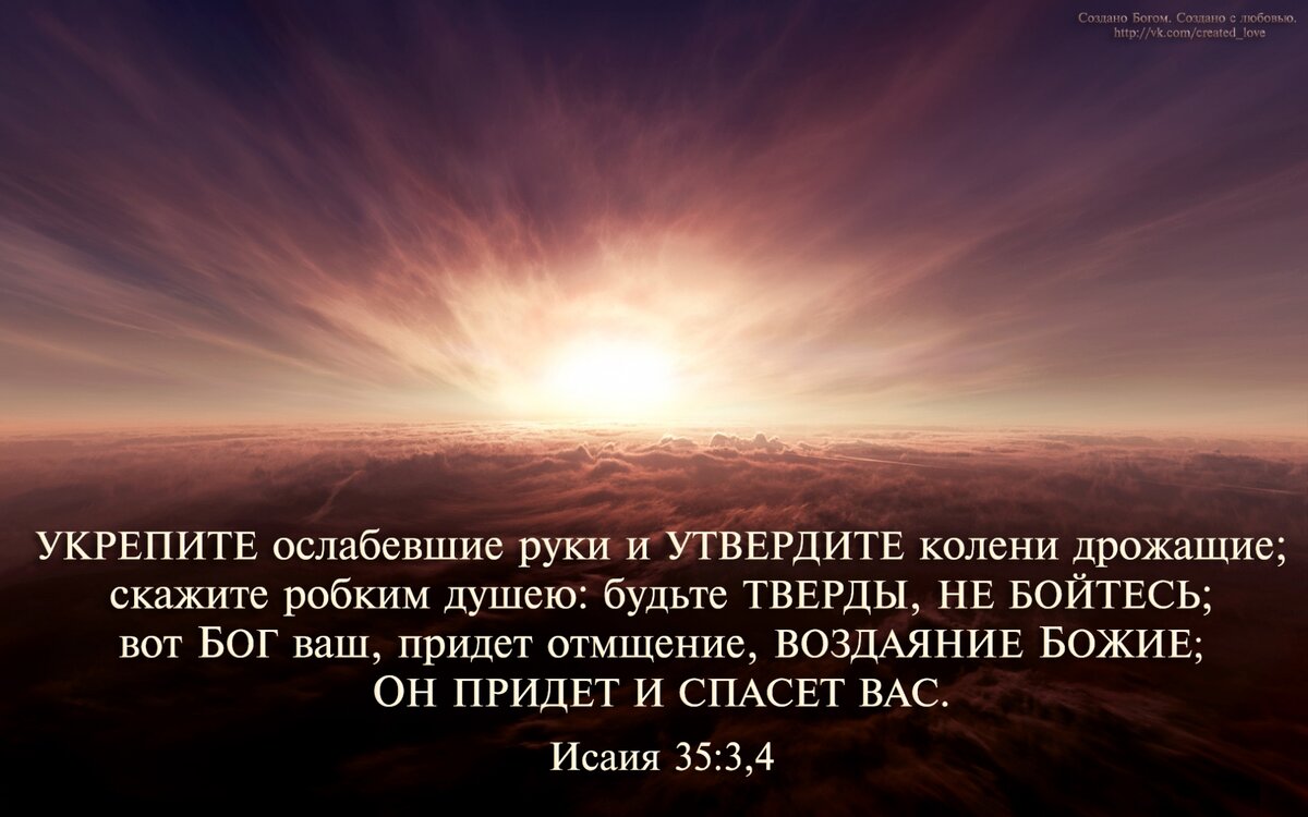 «На Бога надейся и сам не плошай?»