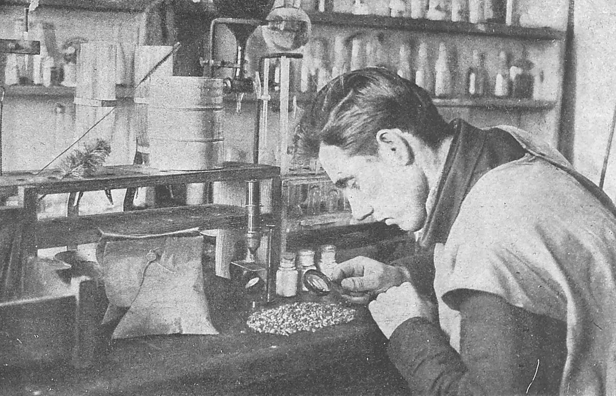 Исследование семян в агрономическом кабинете. Фото: istmat.info  