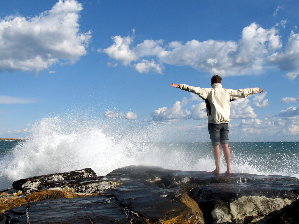 яндекс картинки