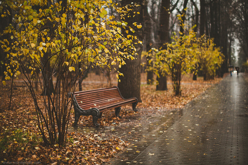 В липовой аллее печально