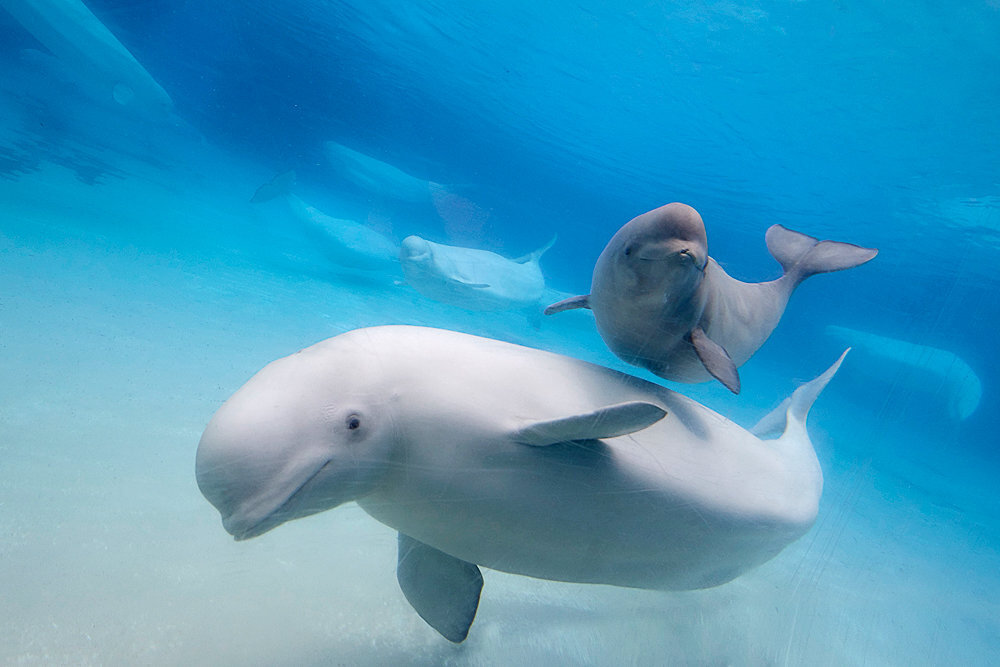 Источник фото: http://fotokto.ru