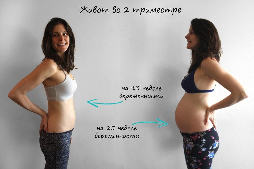20 недель беременности от зачатия: как выглядит живот, икота плода и другие особенности этого срока