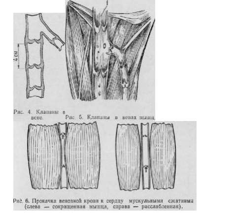  По многочисленным просьбам моих подписчиков продолжаю сегодня знакомить читателей с уникальной системой оздоровления от Микулина Александра Александровича!-9