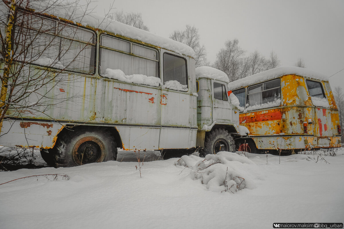 Брошенный ГАЗ-66 и несколько ПАЗиков в лесной чаще | ComDig | Urban  Exploration | Дзен