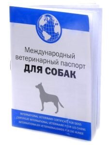 Ветеринарный паспорт (International Veterinary Certificate for Dogs) — это международный ветеринарный документ, в котором указывается информация о собаке, данные заводчика и данные владельца. На основании этого документа владелец, при необходимости, может получать справки на вывоз животного, принимать участие в выставках собак и подтверждать безопасность своей собаки на тяжелые заболевания — бешенство, энтерит и прочие. В ветпаспорте фиксируются отметки о всех сделанных прививках и антипаразитарных обработках, что облегчает ветеринарному врачу постановку диагноза в случае заболевания животного. Таким образом, ветеринарный паспорт является основным документом для любой собаки, независимо от ее происхождения, возраста и наличия владельца, но выполняет роль медицинской книжки и к родословной он никакого отношения не имеет.