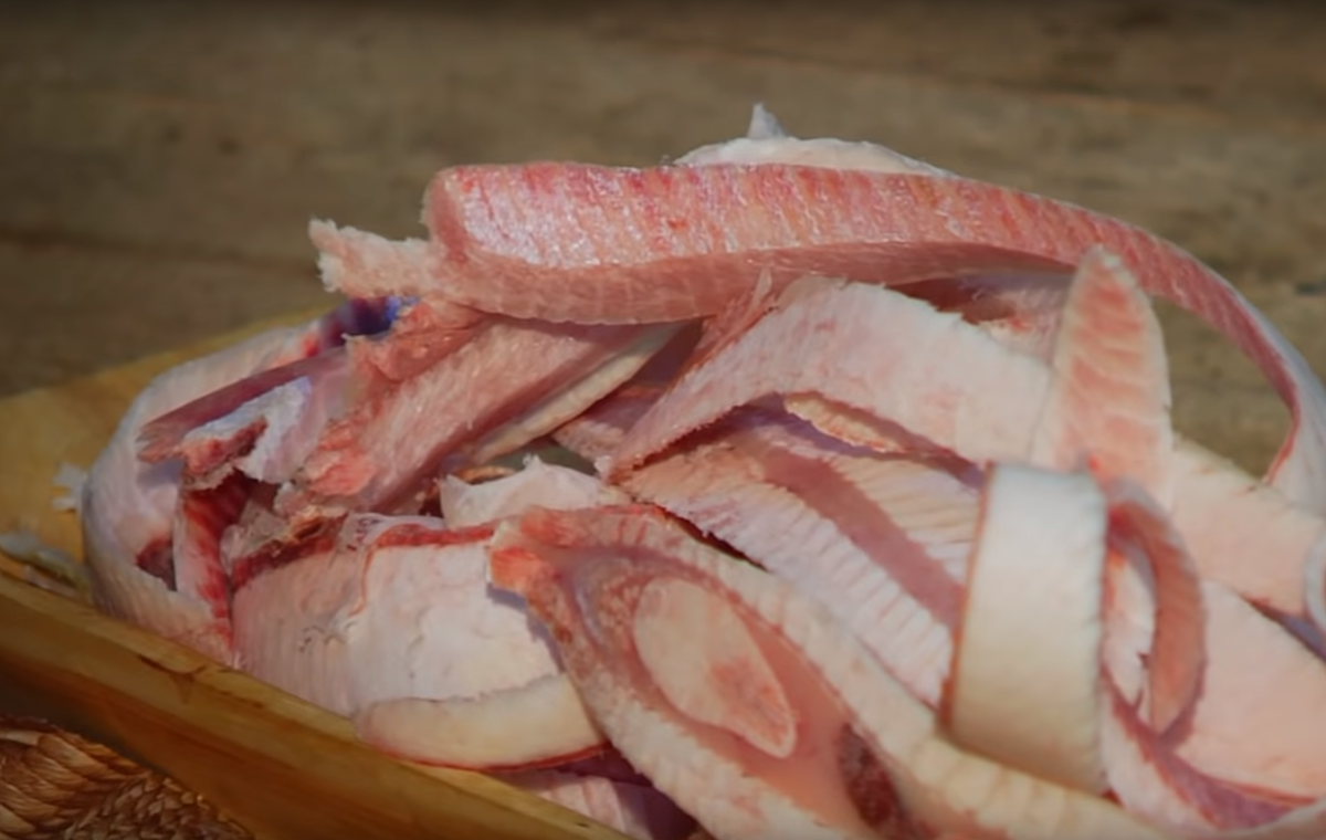 Строганина из муксуна. Традиционная еда коренных народов Севера.