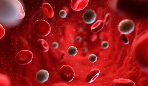 Источник изображения: bleedingdisorders.com