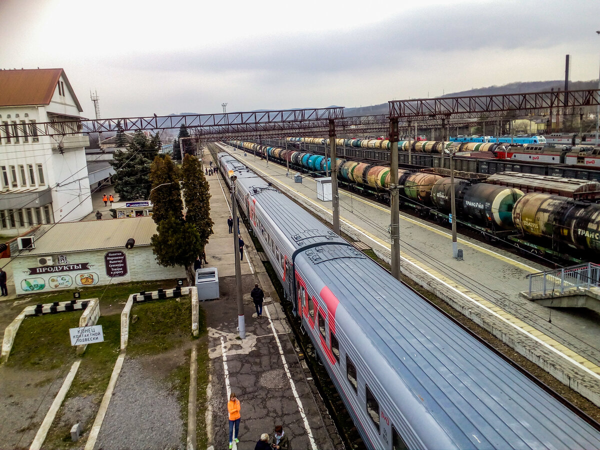 поезд 114 с адлер санкт петербург