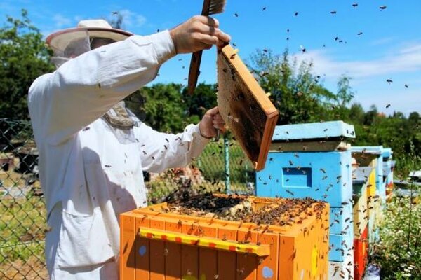 Как сделать медогонку из стиральной машины