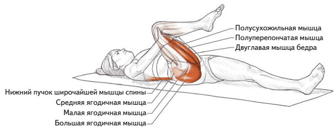 Боли мышц передней поверхности бедра