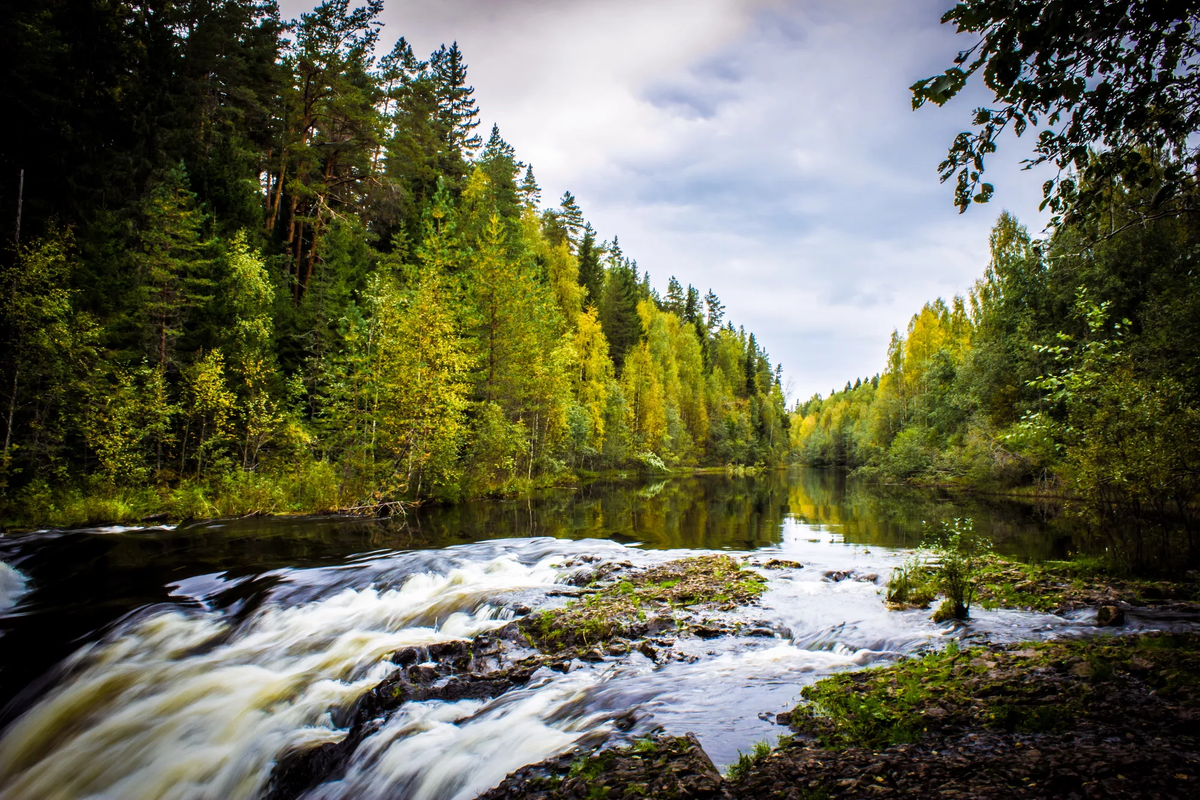 Фото: http://www.nat-geo.ru/upload/iblock/59c/59c3021cd1602e253ab9f2667f1336a8.jpg