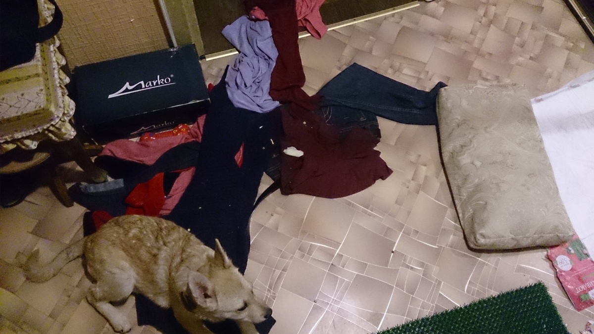 План по очистке стульев в действии