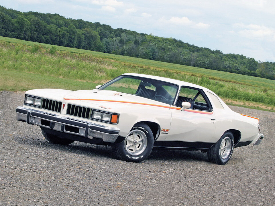 Полный размерPontiac Can Am (1977)