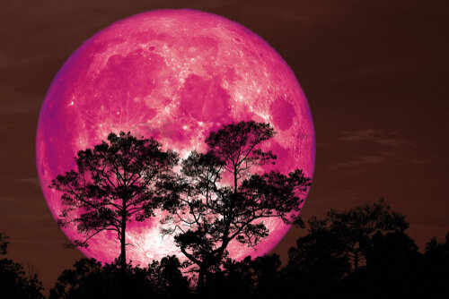 Фото: https://www.sun-gazing.com/category/rare/