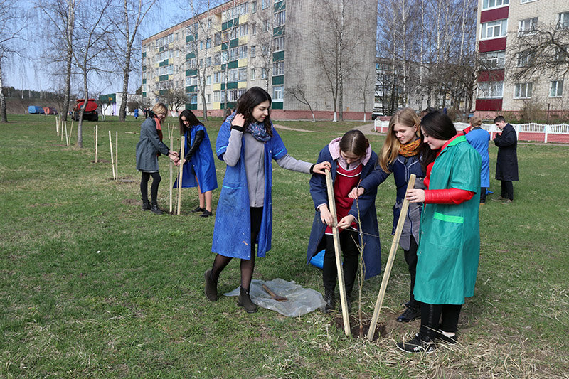 Новости в рогачеве. Свободное слово рогачев. Погода в рогачеве. Свежие вакансии в рогачеве на сегодня. Жилищный отдел борисовского райисполкома.