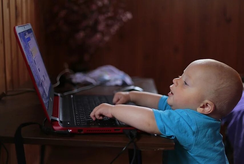 Фото: pixabay.com