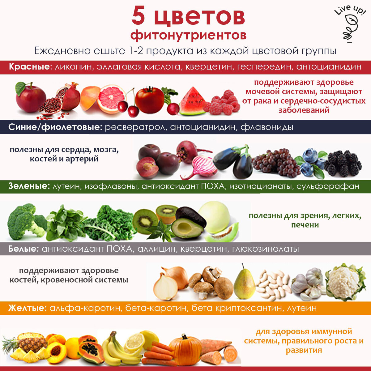 Фото взято из свободного доступа yandex.ru 