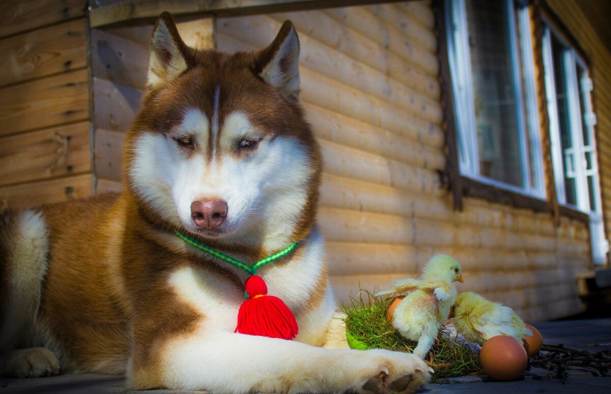 эпичный взгляд...