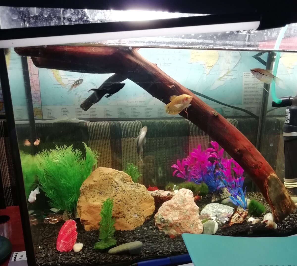 Это мне казалось неплохим, а зачем деревяжка, сам до сих пор не понял:) 