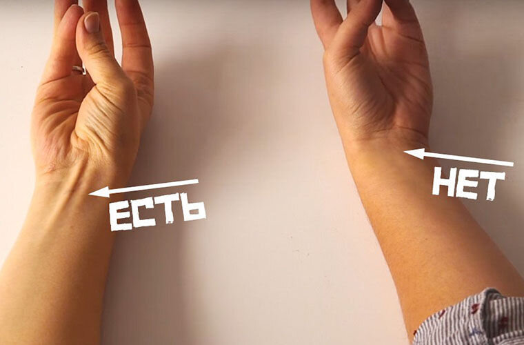 Для лучшей хватательной способности — чтобы держаться за ветки и перепрыгивать с дерева на дерево. Наши предки слезли с деревьев и перешли к жизни в саванне.