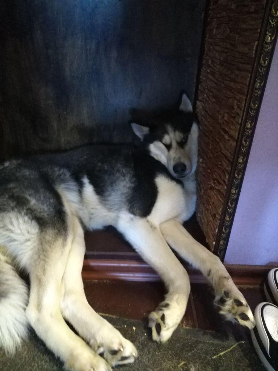 Иногда так устанешь что заснешь как угодно и где угодно