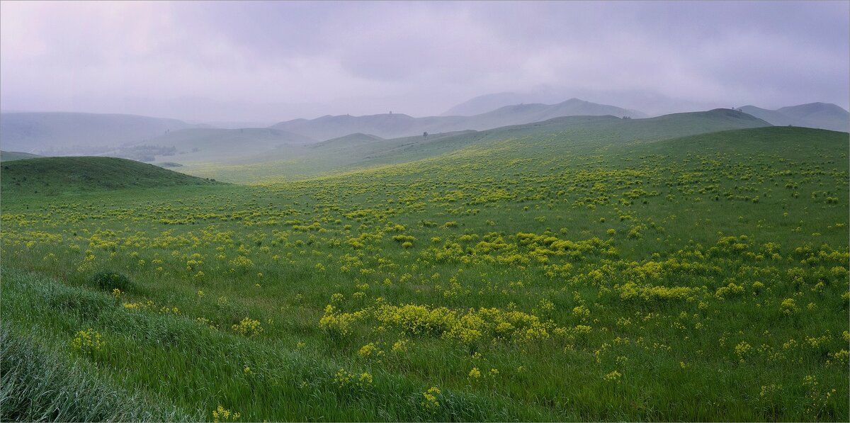 Фото Закира Умарова