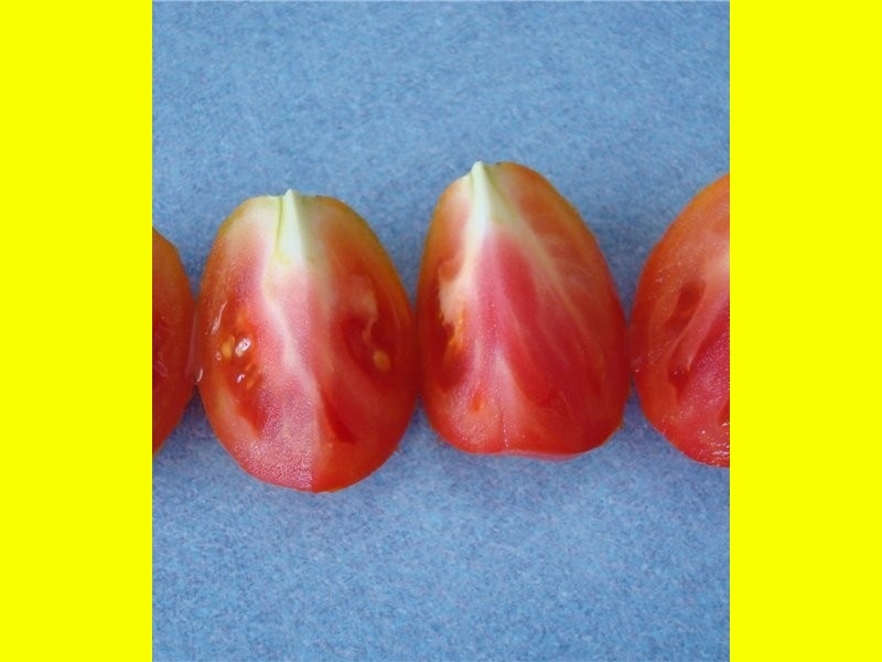 Фото взято с яндекс картинок с целью иллюстрации