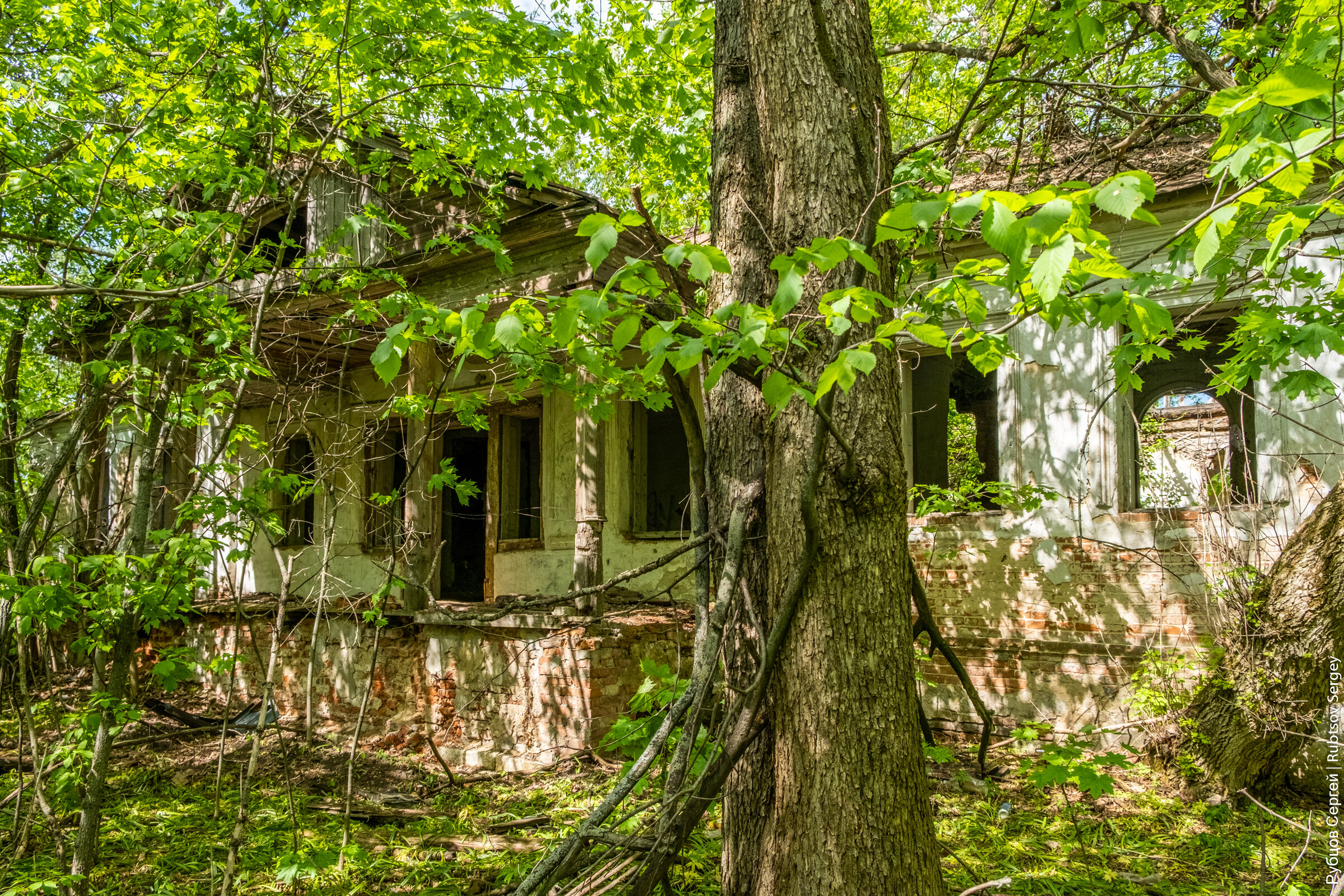 староживотинное река воронеж. староживотинное воронеж. староживотинное коттеджный поселок воронеж. староживотинное воронеж. село староживотинное воронежской области.