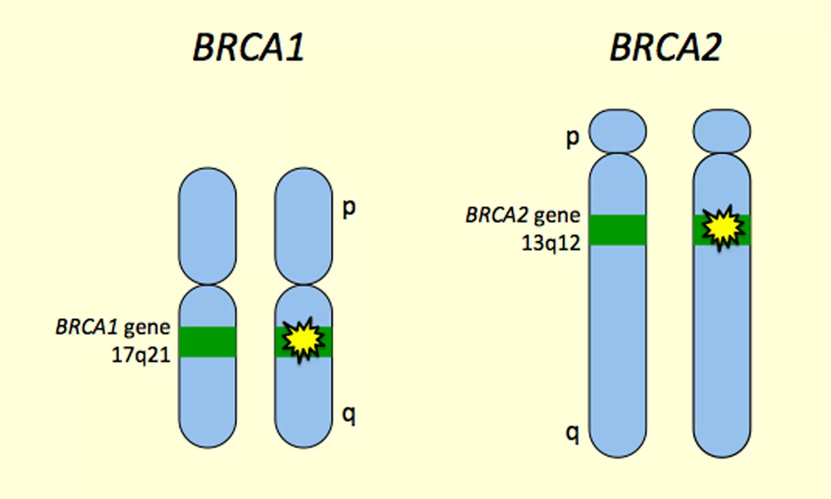 http://genetics4medics.com