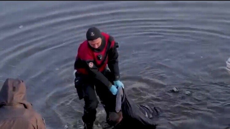 Работа спасателей с место происшествия