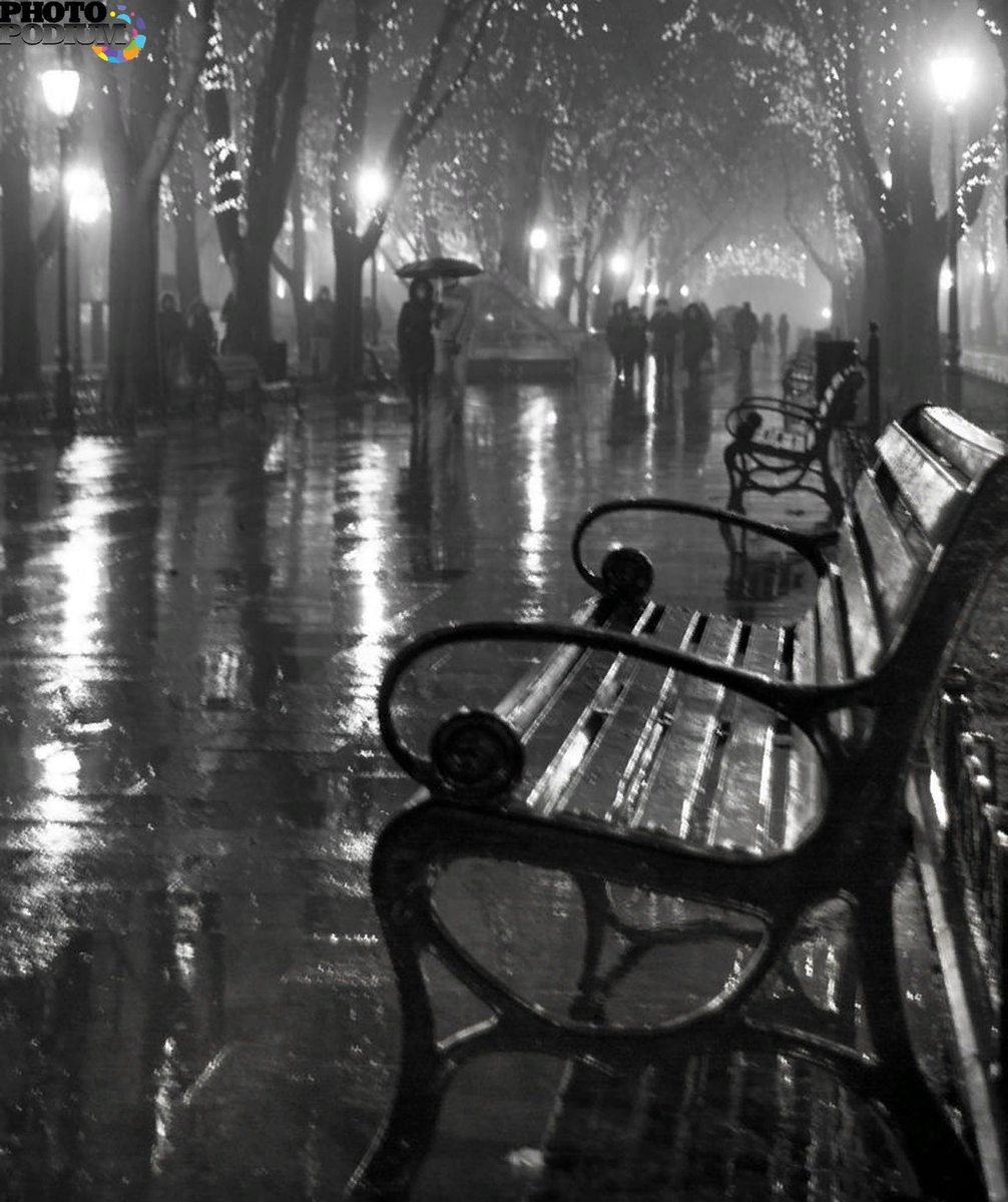 https://www.photoforum.ru/photo/782199/index.ru.html?lang=ru