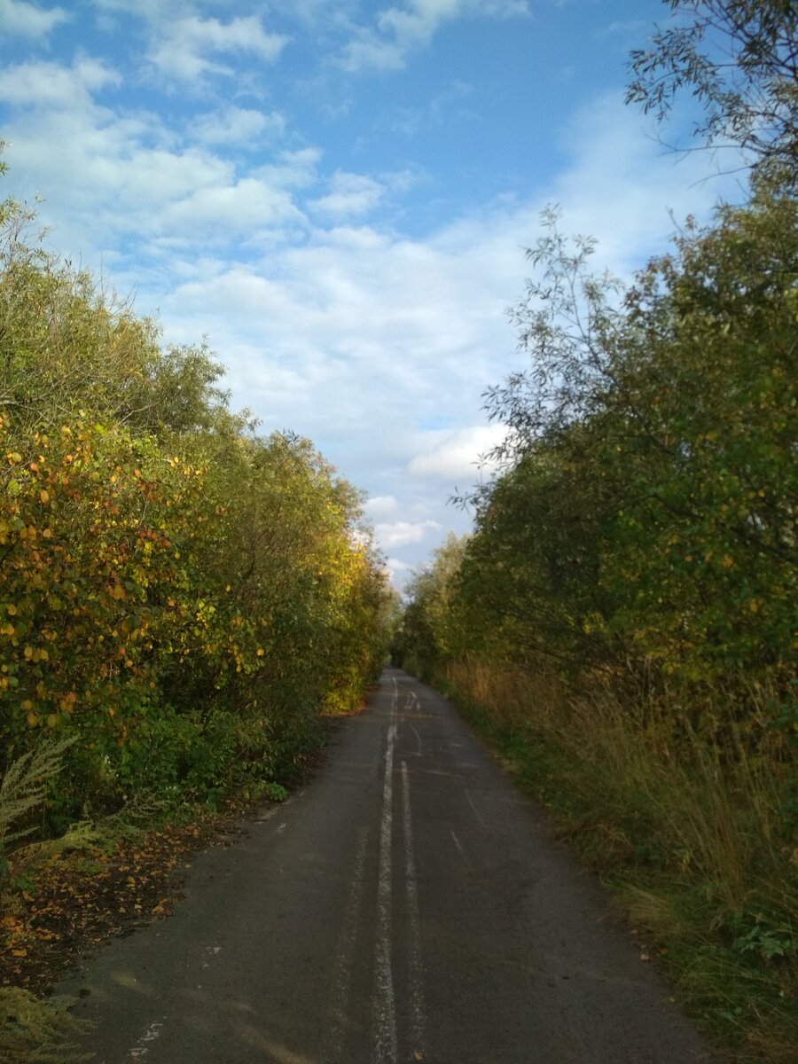Вот в таком красивом месте проходят мои тренировки