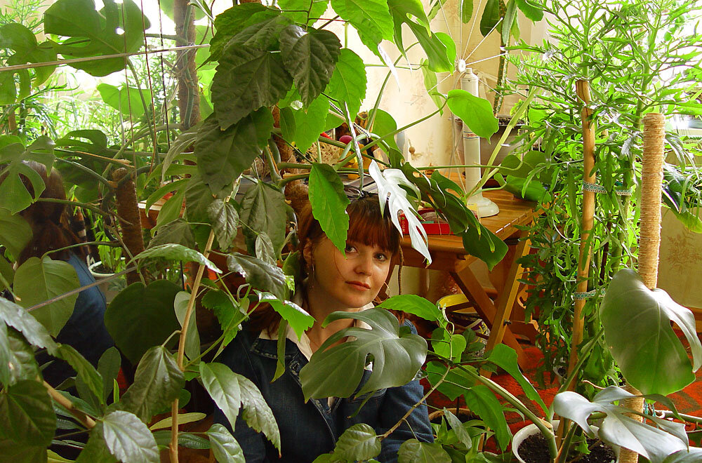 Главный Архитектор отдыхает в тени тропического сада