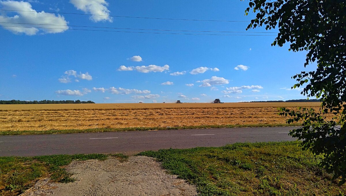 фото из личного архива