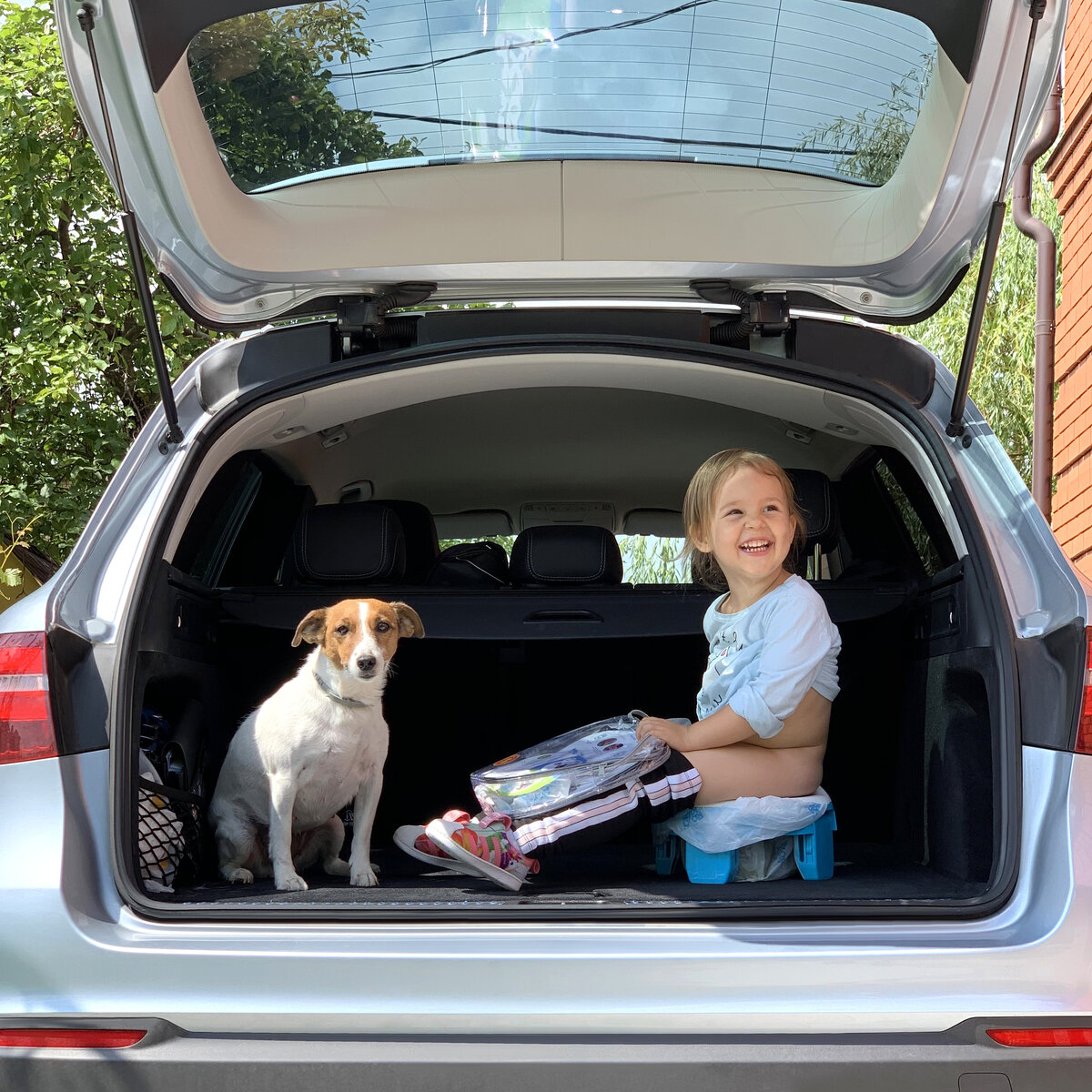 Если вы часто путешествуете на автомобиле, дорожный горшок просто незаменим