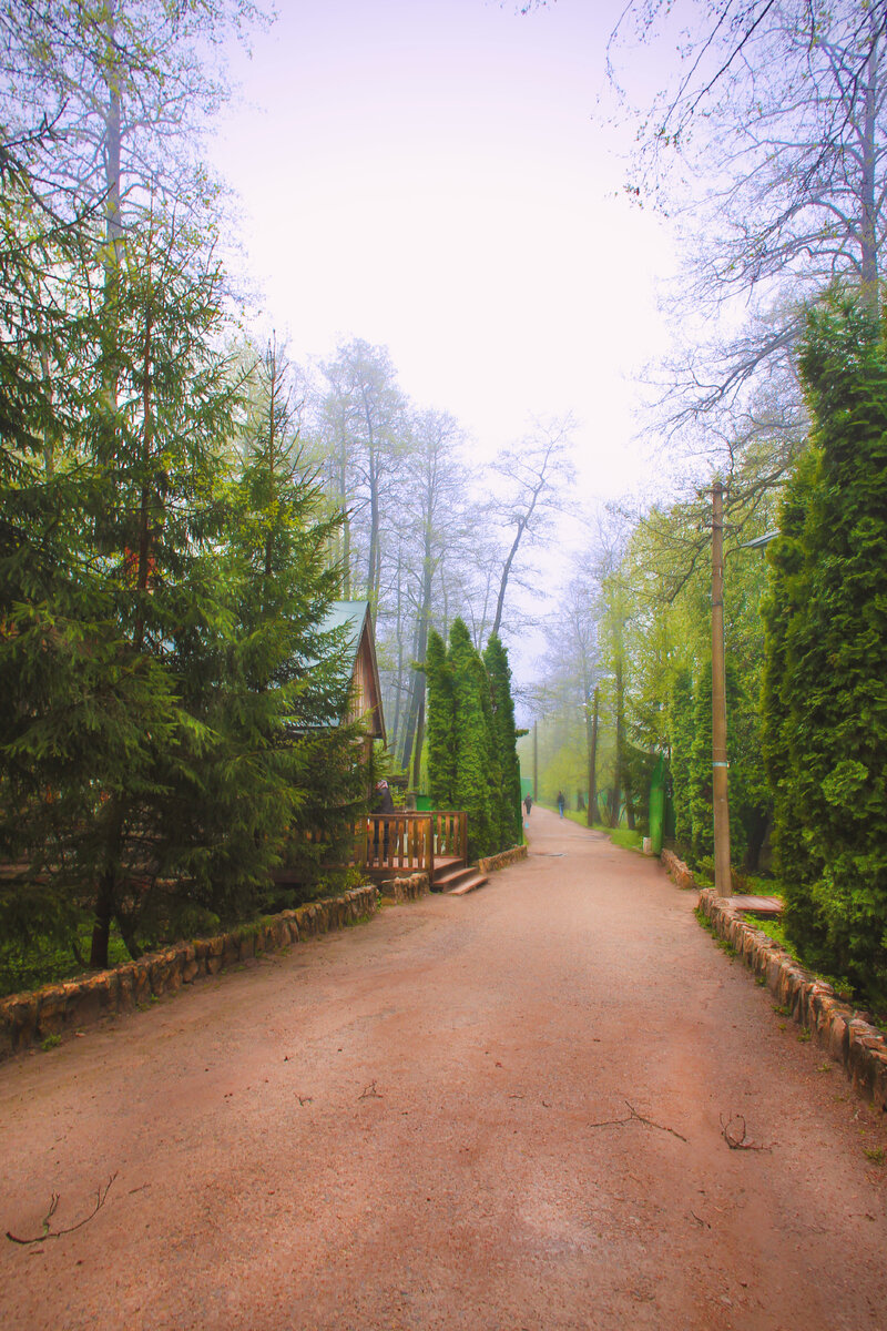 Автор строк и фото: КоМариша