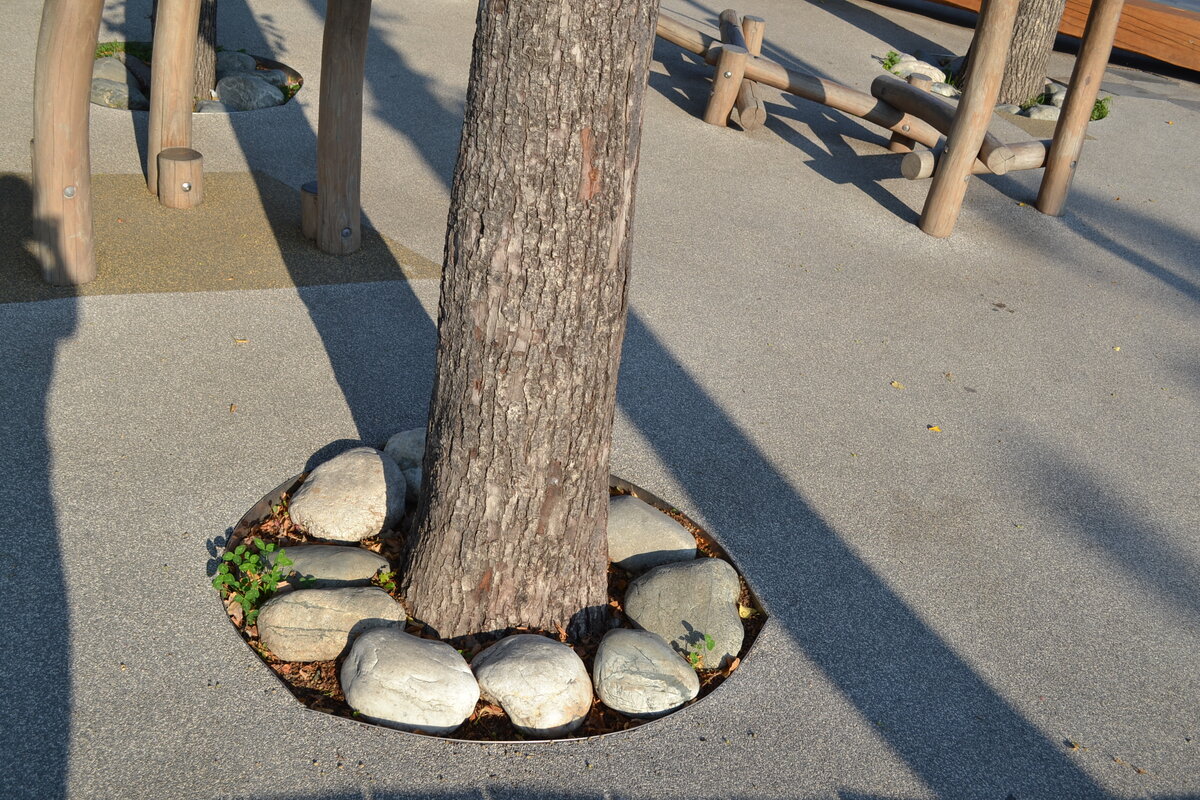 приствольных кругов