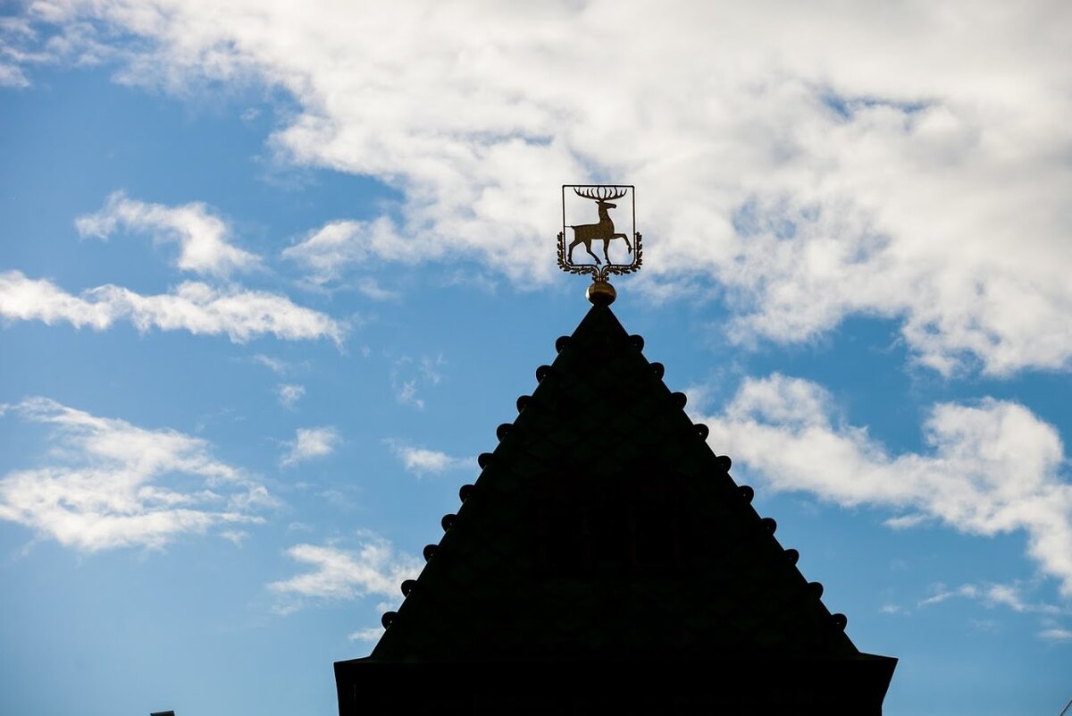 Фото: Андрей Абрамов